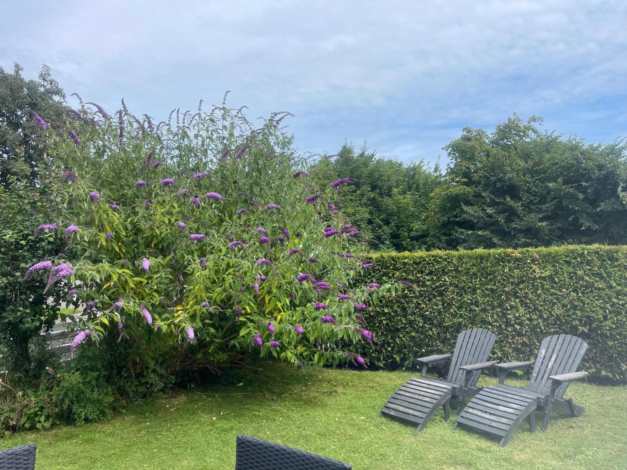 Heidis Residence-Sandkaas, Bornholm Allinge-Sandvig Exteriör bild